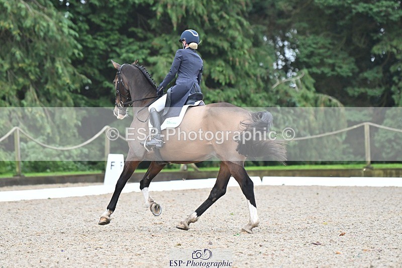 231019-104834-01974 - 103-BEECH.HILL.KIKO.CLOVER-Harriet.Blair-DR