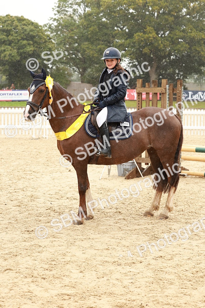 SBM_72225 - J14 - Junior Pony 65cm Championship