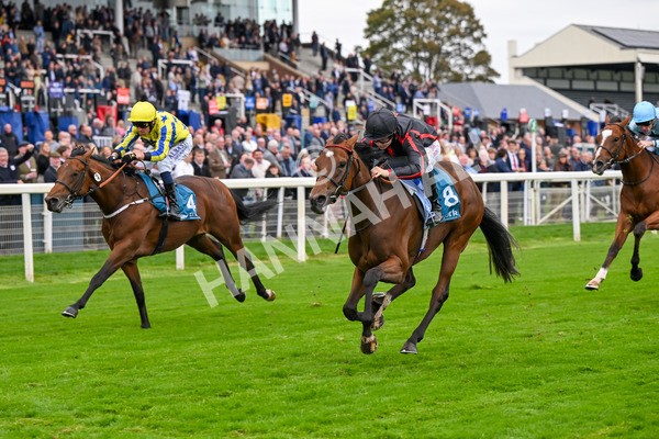 101025-Race 4-Thaluna-6821 - Race 4 William Hill Best Odds Guaranteed EBF Novice Stakes at York