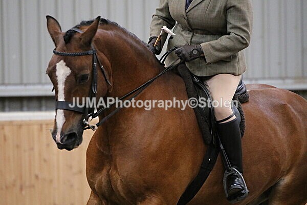 SIAL3065 - Sunday 14th Ridden