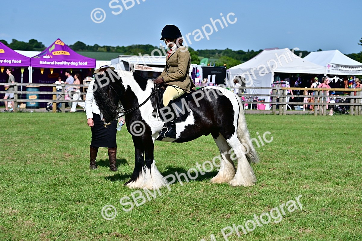 SBM_09368 - Class 63-65 - Traditional Gypsy Cobs In Hand & Ridden