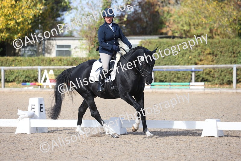 20261010-0605 - Class 5 - Novice 1