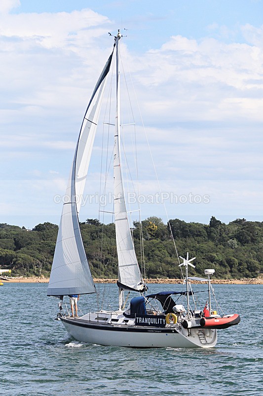 190729 TRANQUILITY 1Y3A6441 - Sailboats - monohull