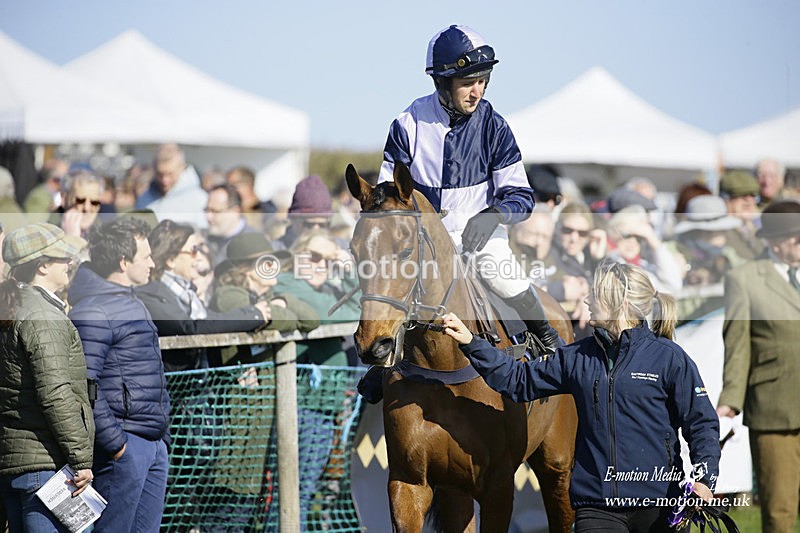 PtP 190322 550 - Wilton Hunt PtP Milborne St Andrew 19/03/22