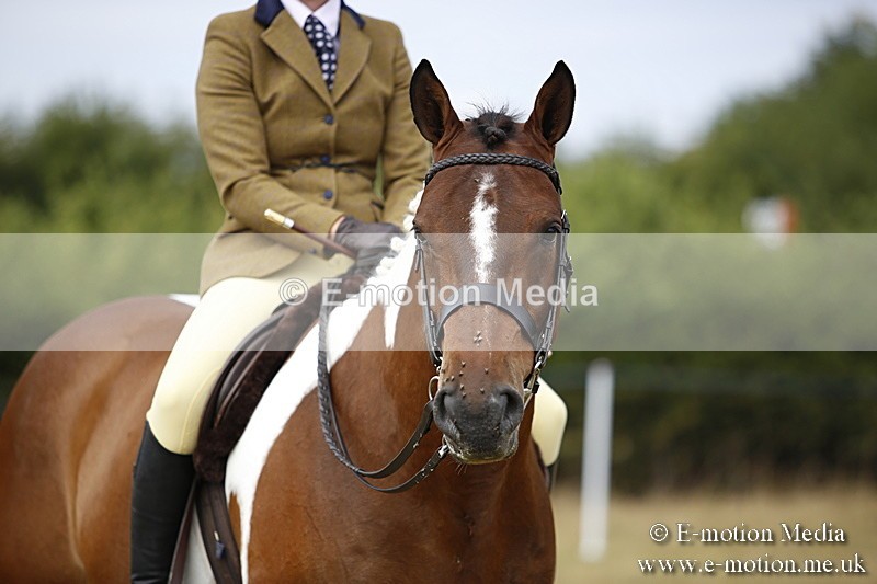 _C7A9530 - BVRC Show 2018 Ring 1