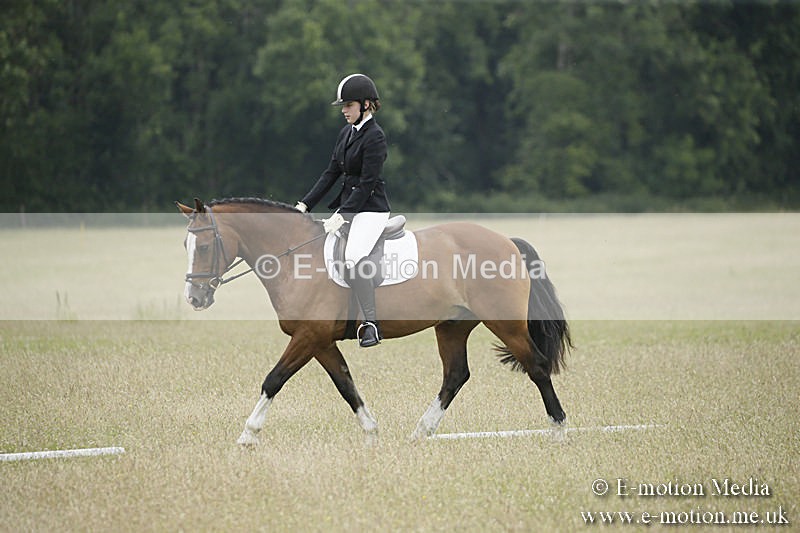 B230619-0673 - Bourne Valley Riding Club Summer Show 23/06/19