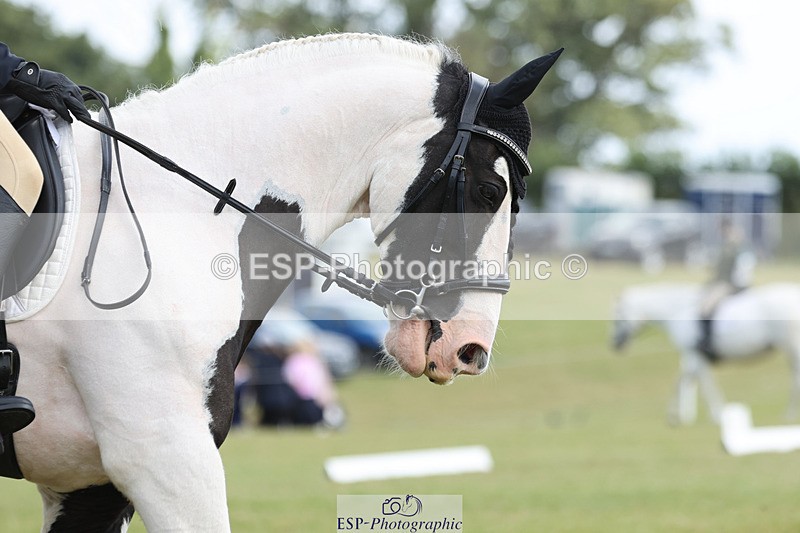 240824X-132707-27320 - D80 Section G and H 12.00 to 13.30