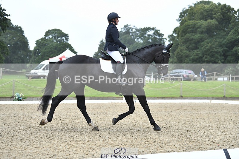 230812-103234-03399 - Cls 6 Novice Silver 10.30 to 11.55 break