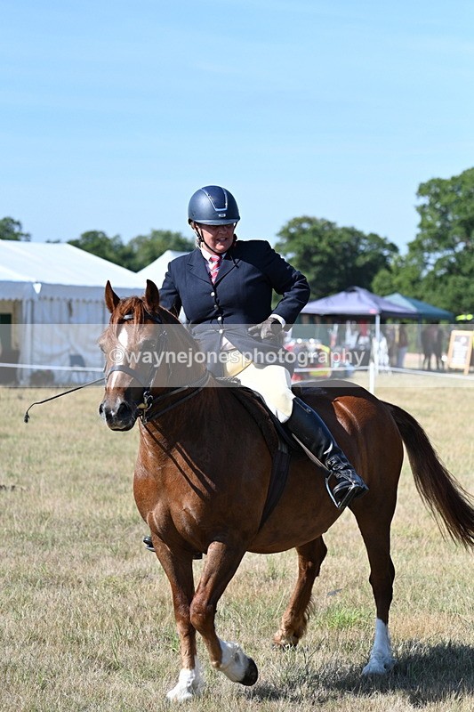 WJ7_3821 - Class 9 Mountain & Moorland Ridden
