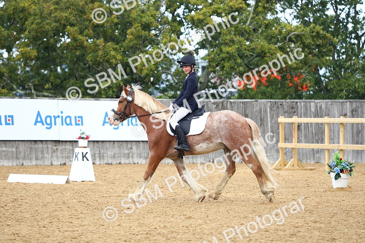 SBM_42649 - D21 - Junior Championship Intro 1