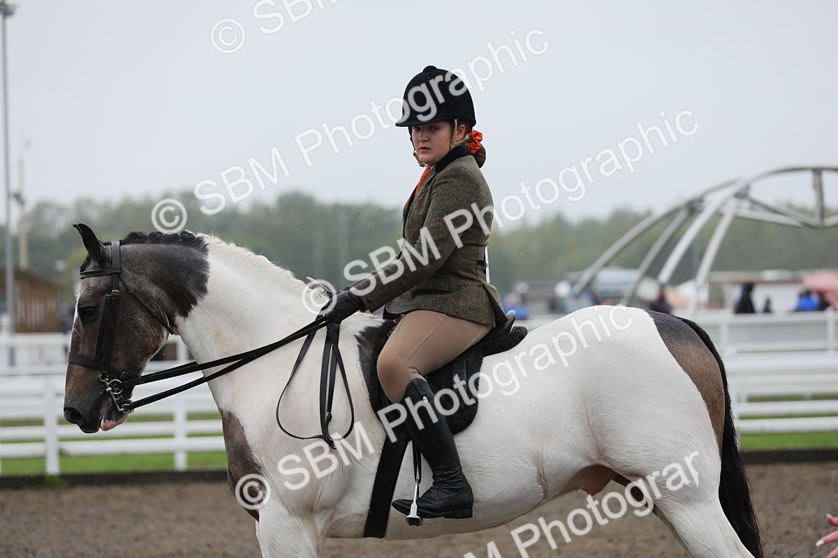 SBM_20606 - Class 804 - Ridden Veteran Pony