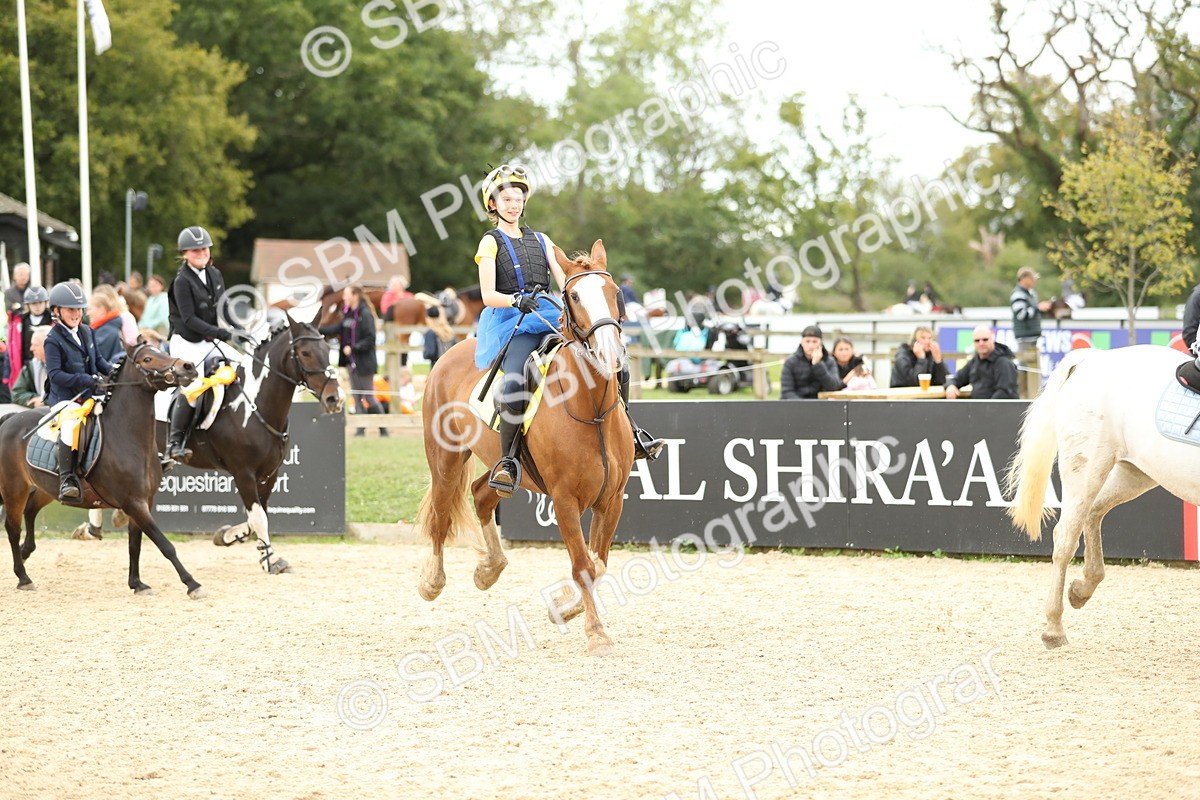 SBM_66104 - J48 - Pairs Jumping Open 70cm & 85cm