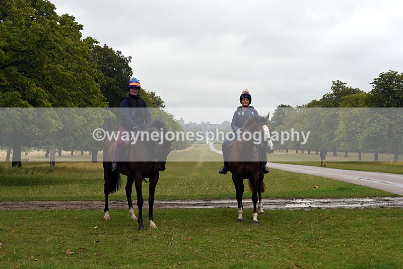 TT3_8133 - Time at Crossing 09:15 to 10:15