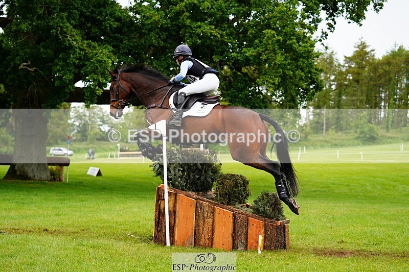 240525-174426-19273 - 274-JACK_OF_CLUBS-Rosalind_Canter