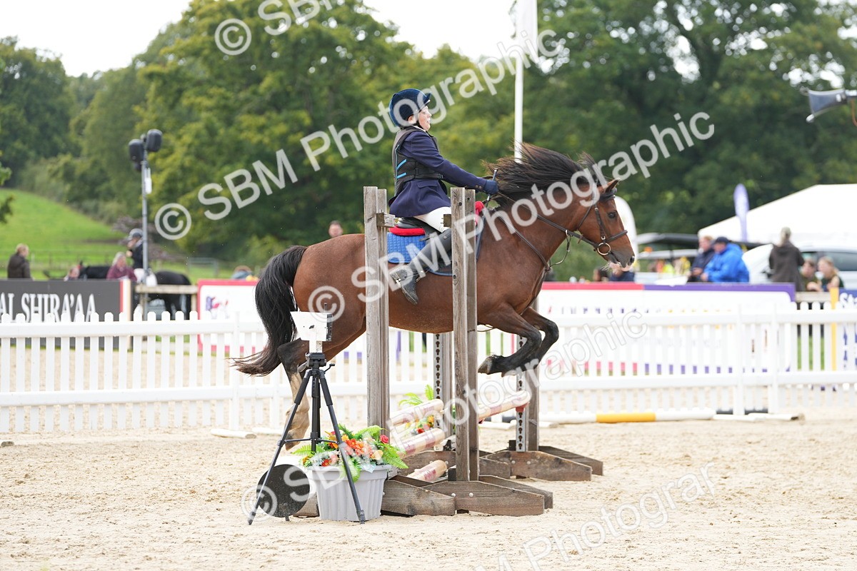 SBM_40064 - J6 - Junior Pony 55cm Championship