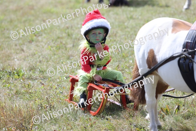 20250831-3482 - Class 26 - Fancy Dress