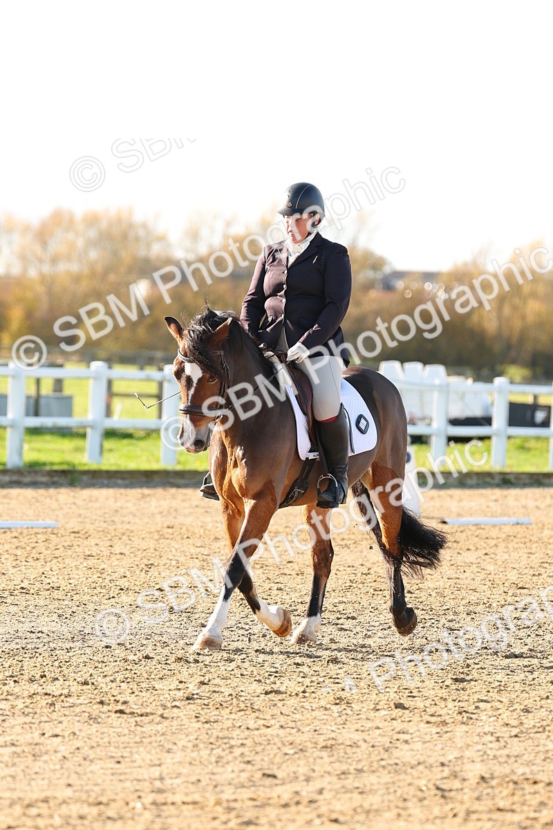 SBM_001658 - Medium 4