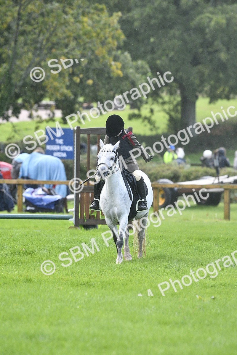 SBM_37164 - S31 - Novice & Newcomer Working Hunter Pony