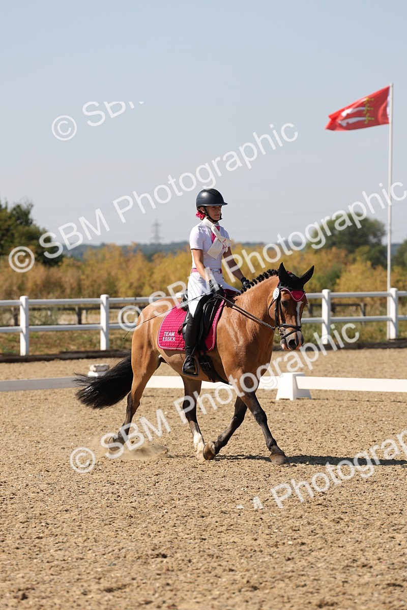 SBM_006288 - Prelim 4 - 15.56-17.51