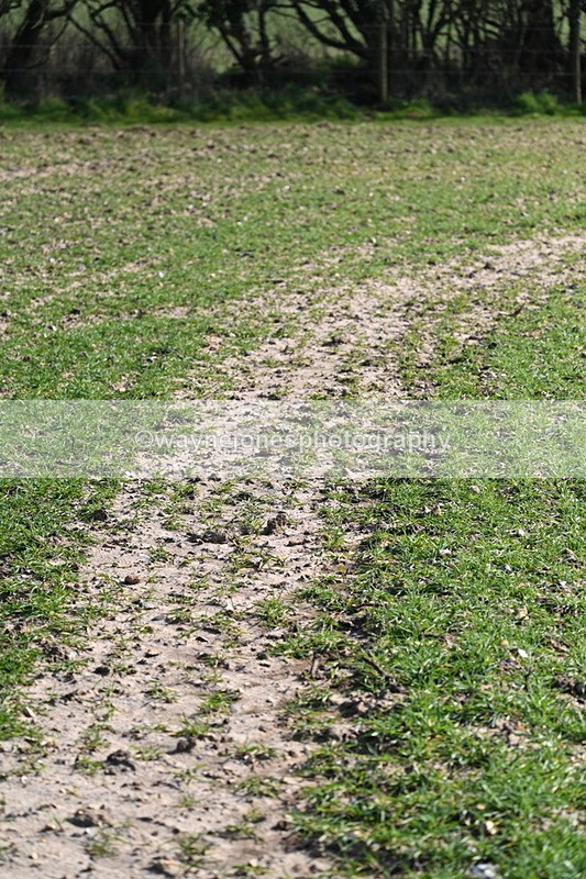 WJ7_5661 - Camera A