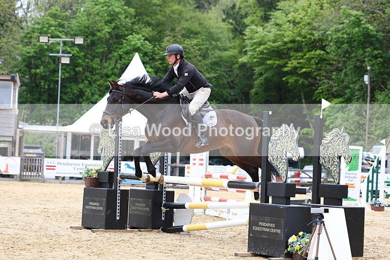 3E7A6022 - Class 4: Senior British Novice/90cm open