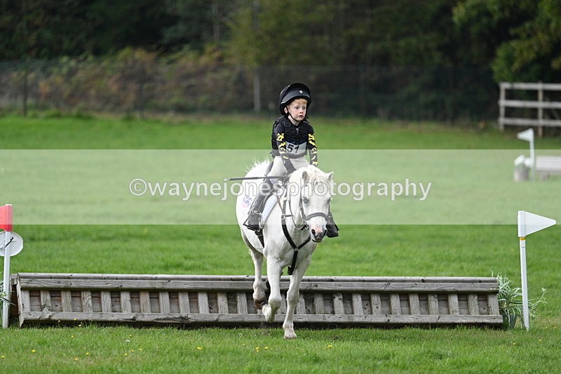 WJ7_3806 - 40cm Time 10:26 to 10:42