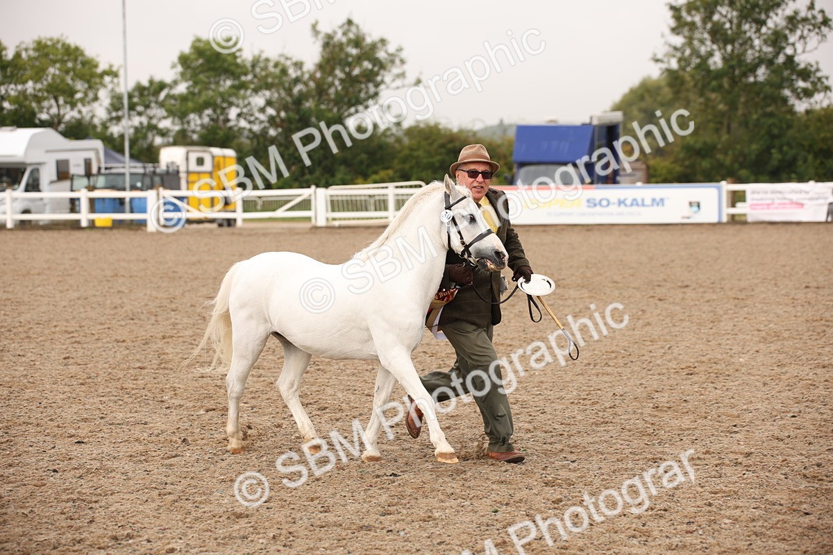 SBM_20744 - Class 705 - IH  Combination 65+