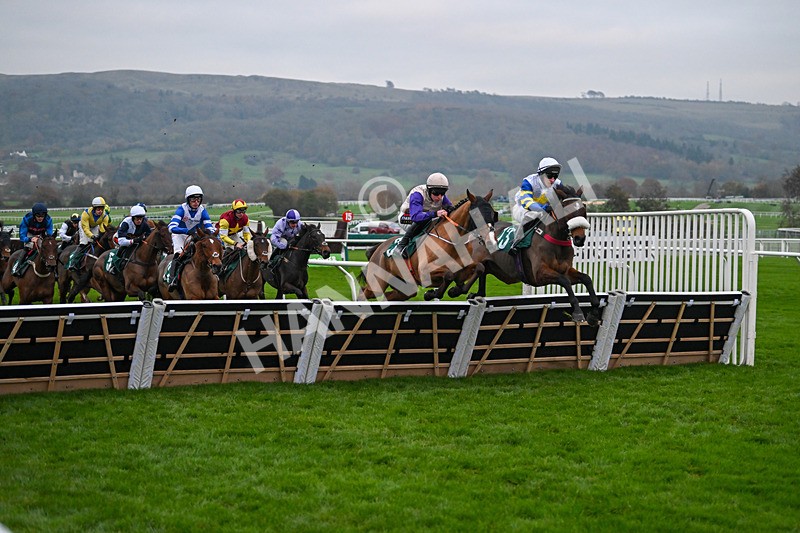 151124-Race 6-Shinji-8848 - Race 6