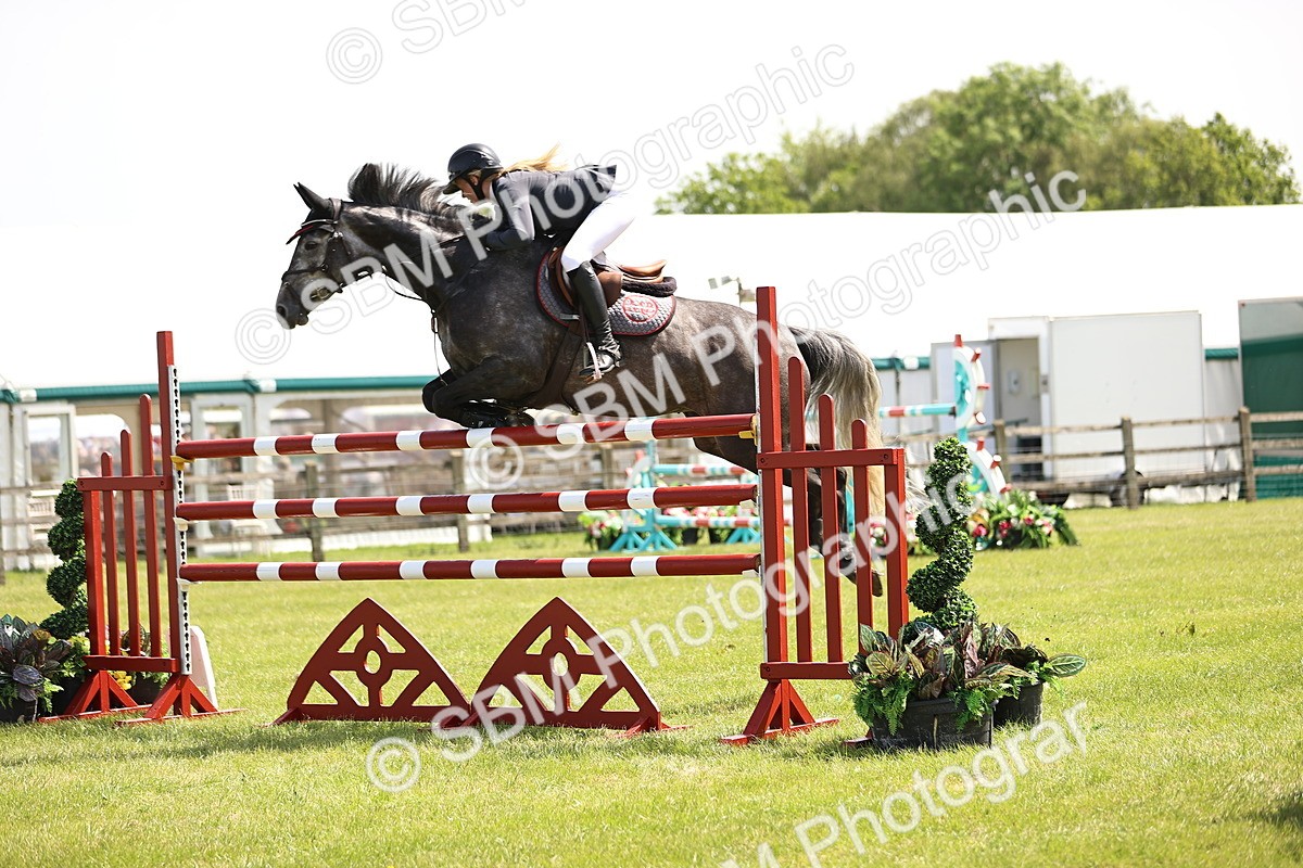SBM_04025 - Class 201 - British Horse Feedds Speedi Beet HOYS Grade C