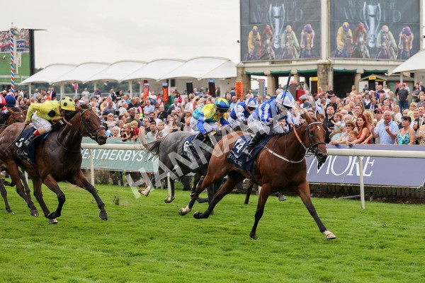 yr20082021r4-98 - Race 4 3.35pm Coolmore Wootton Bassett Nunthorpe Stakes (British Champions Series Race)