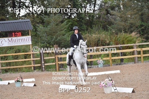 BPP_0252 - ELEM 6 & 4