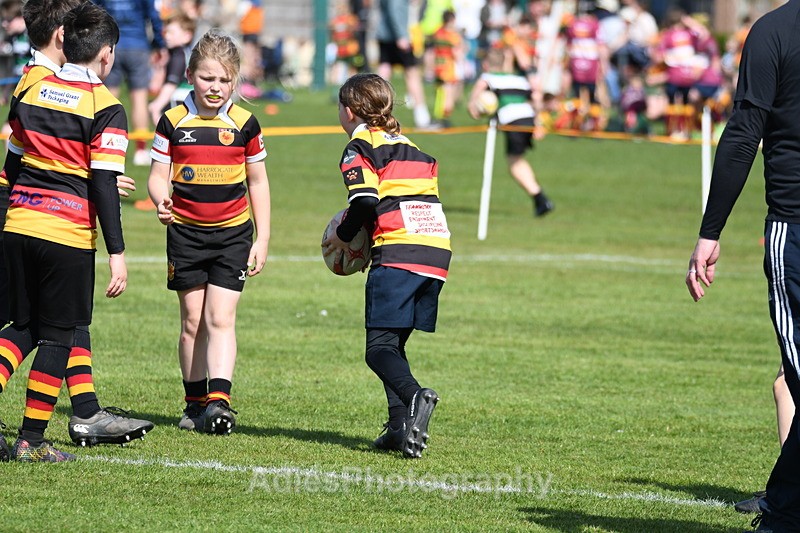 - Selby Rugby Festival 2025