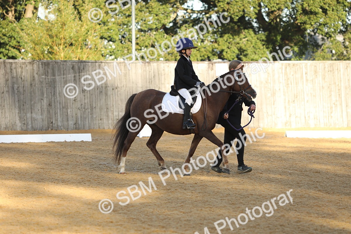 SBM_33647 - D26 - Starers - Lead Rein
