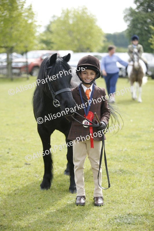 20260426-1955 - Class 8 - Prettiest Mare