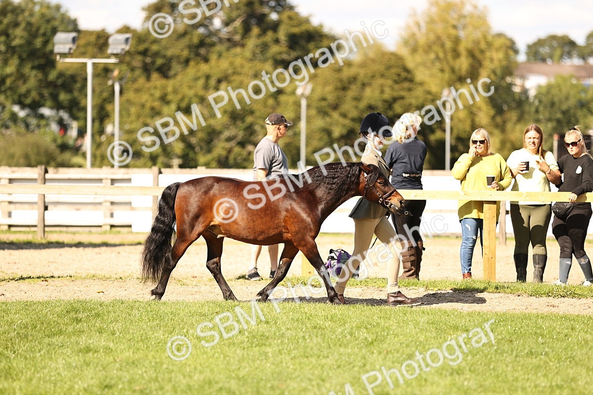 SBM_26143 - S5 - Novice & Newcomers In Hand