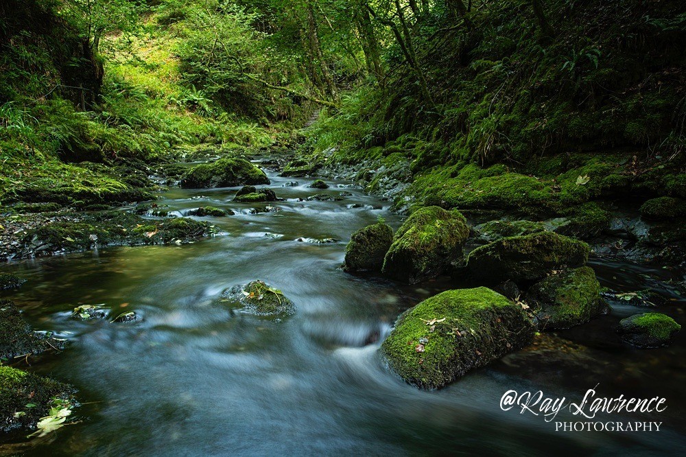 Lydford Gorge_19_9_21-RLP31068 - Close to Home