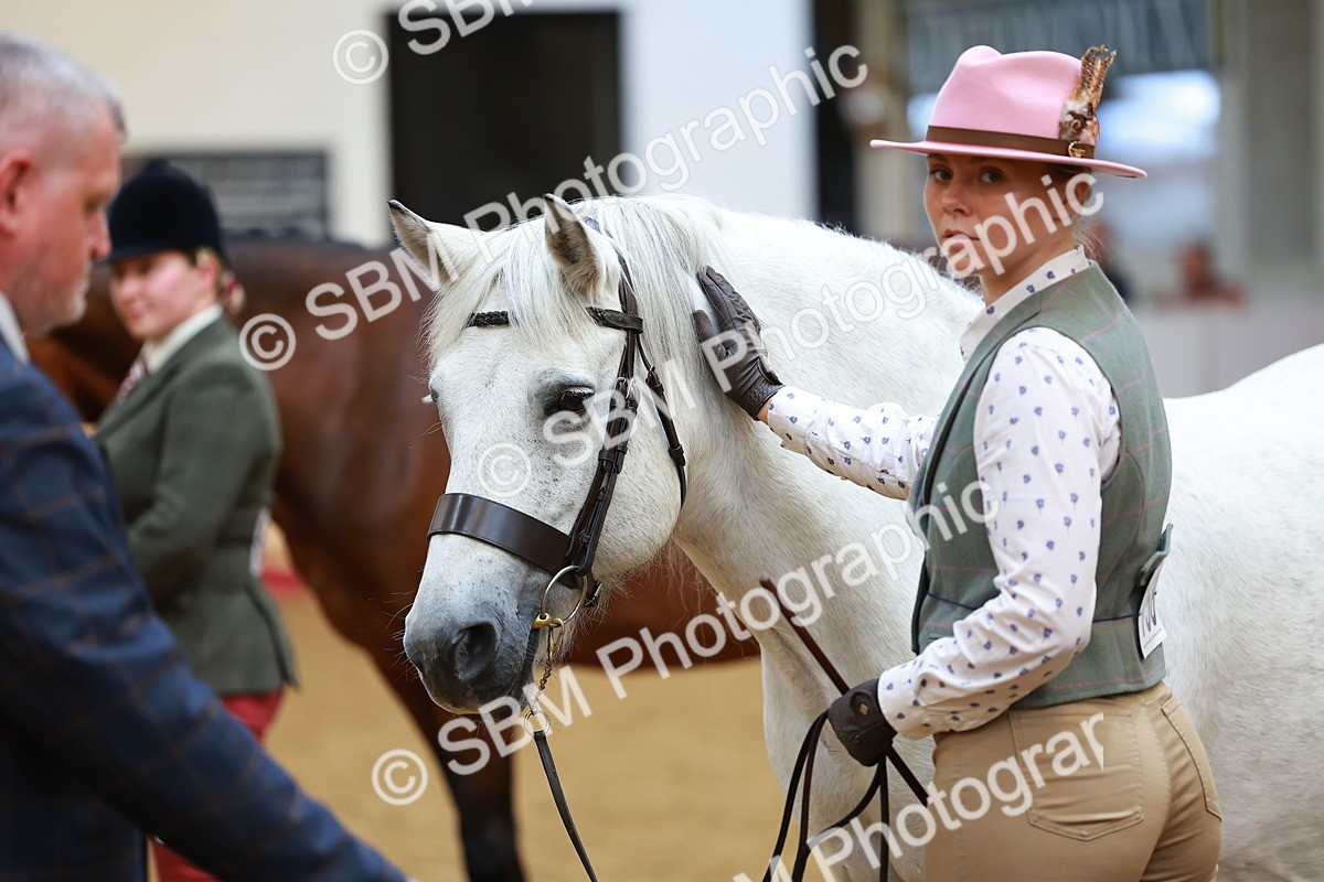 SBM_04149 - Class 9R - IH Pre-Vet