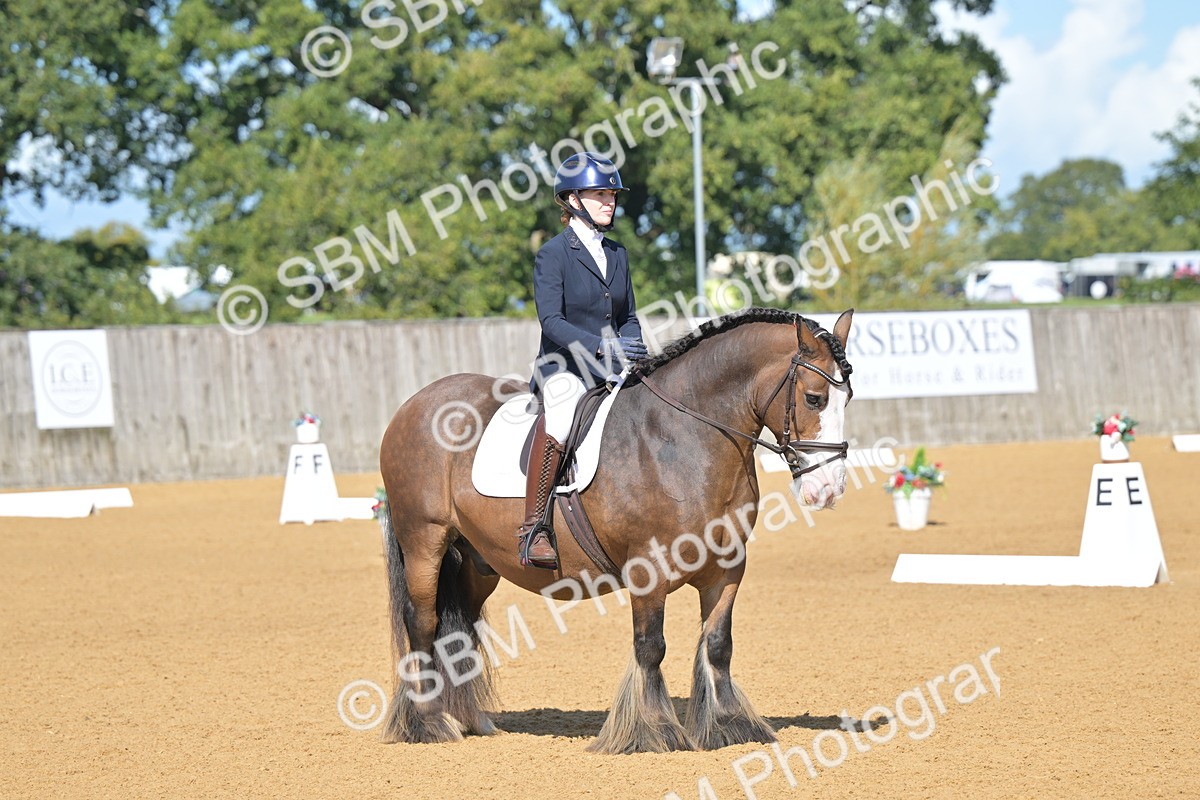 SBM_03948 - D2 - Small Tour Championship Intro 2