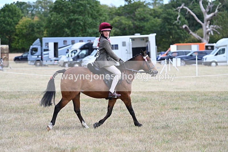 WJ7_5969 - Class 13 Ridden Veterans