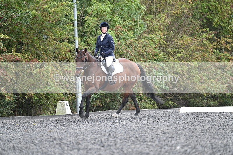 WJ7_4082 - Time 11:43 to 12:09