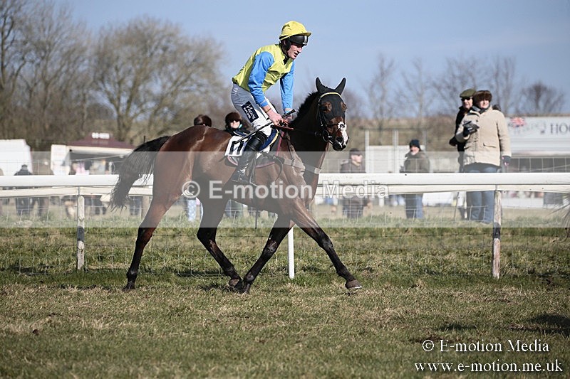 PtP 240218 182 - Vine & Craven Hunt Point-to-Point Barbury racecourse 24/02/18