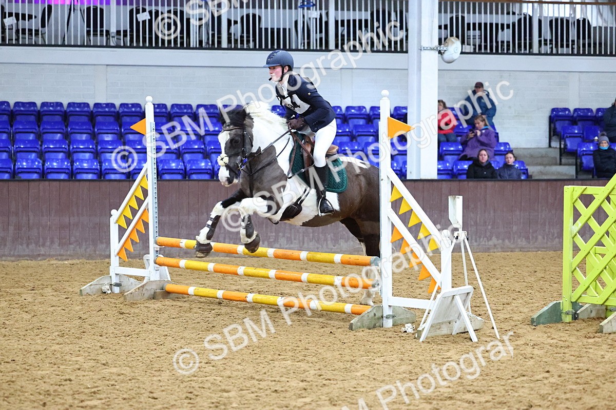 SBM_001336 - Class 3 - Christmas Tree Stakes - 60cm