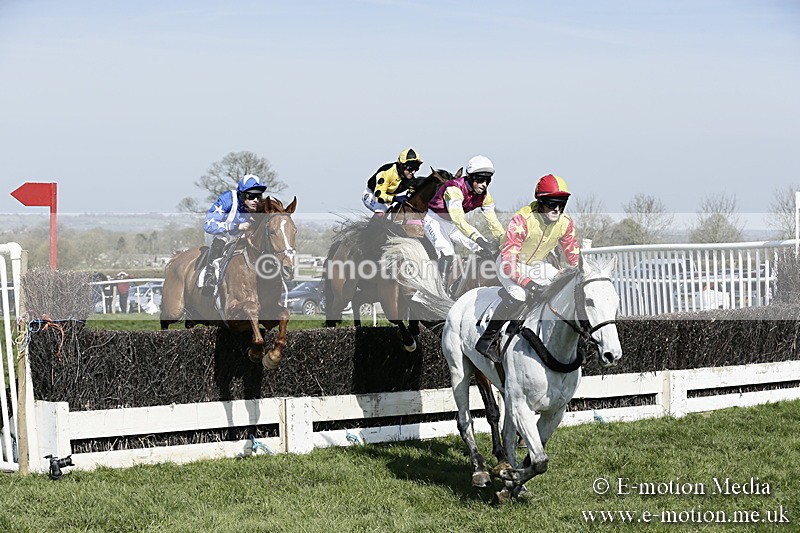PtP 260317 110 - Mendip Farmers Point-to-Point Ston Easton 26/03/17