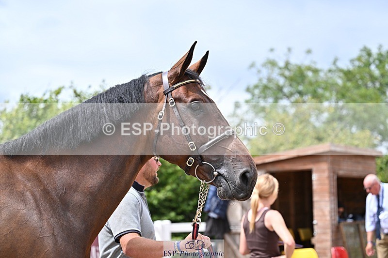 250716-132704-00522 - Trot Up 12.30 to 1.30