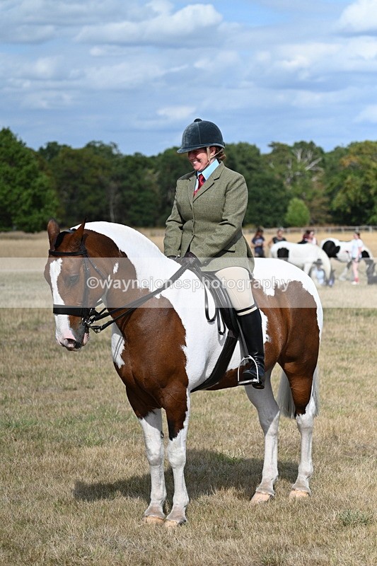 WJ7_7344 - Class 14 Ridden Coloured