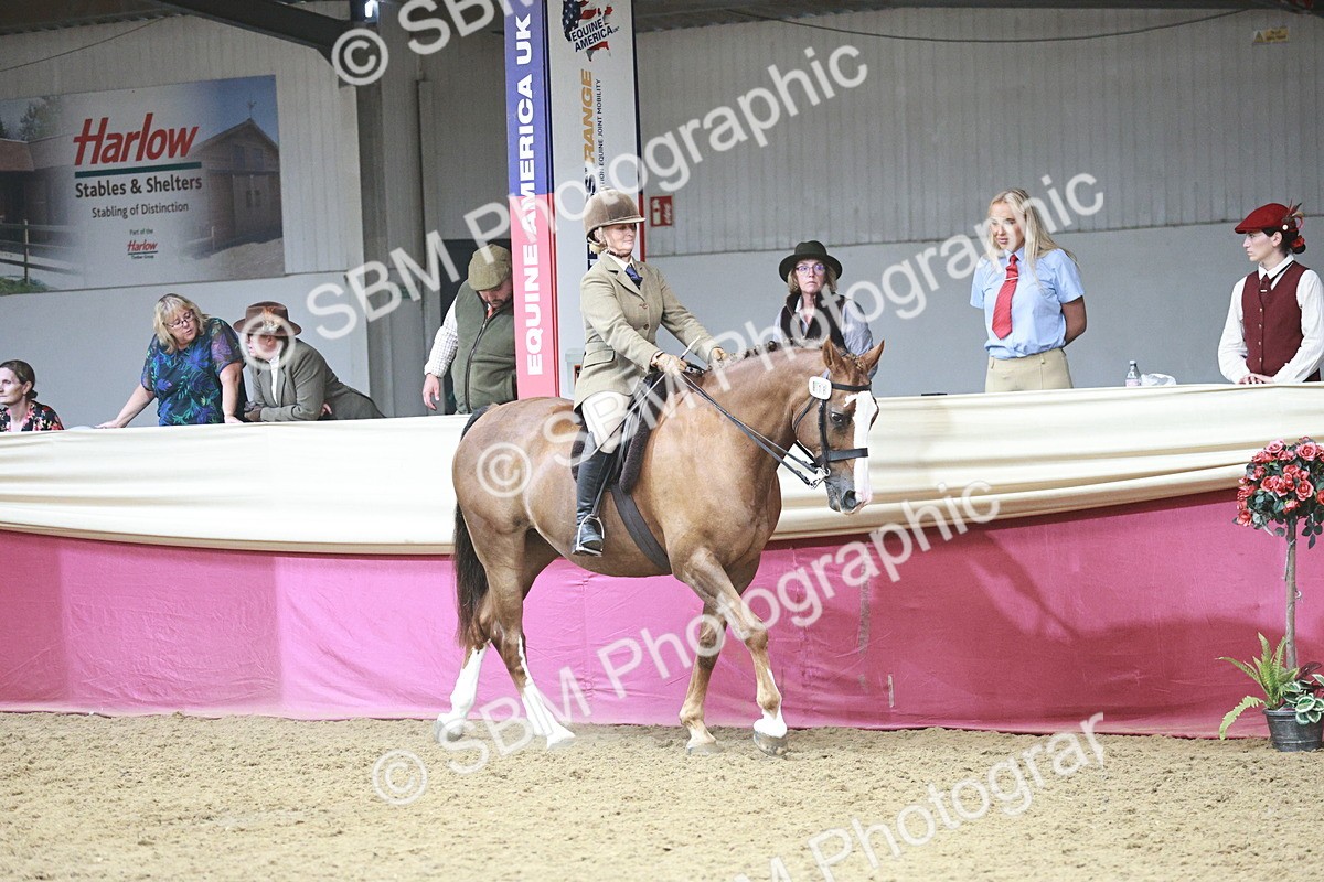 SBM_08799 - Class 12R - Regional Ridden Pre-Vet