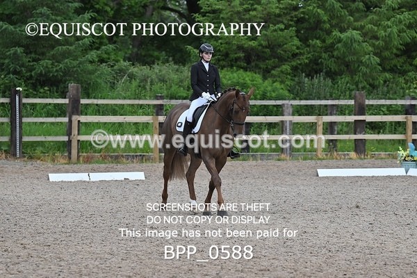 BPP_0588 - 17 N BAXTER