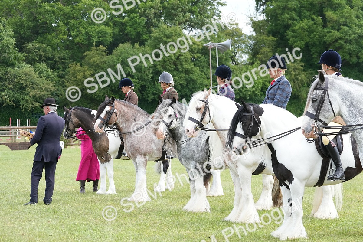 SBM_17318 - Class 107-108 - LIHS BSPS Performance Coloured Horse Pony