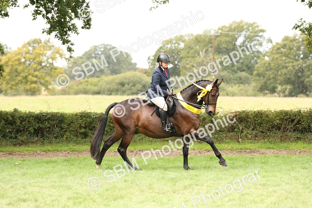 SBM_63061 - S64 - Foreign Breeds Ridden