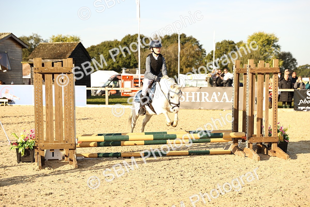 SBM_59415 - J11 - Junior Pony 50cm Championship